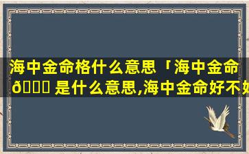 海中金命格什么意思「海中金命 🐘 是什么意思,海中金命好不好 🌻 」